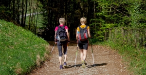 Zwei Damen beim Nordic Walking im Wald
